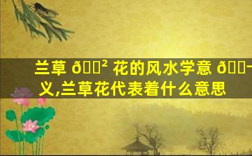 兰草 🌲 花的风水学意 🐬 义,兰草花代表着什么意思